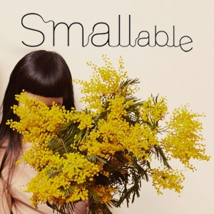 Code de réduction SMALLable