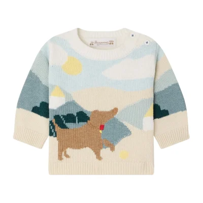 Pull Almire Chien