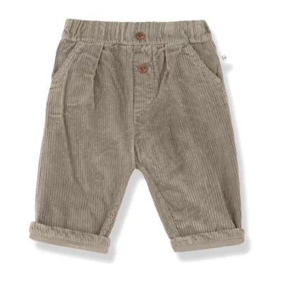 Pantalon Quebec velours 1+ In The Family