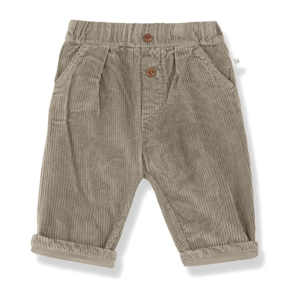 Pantalon Quebec velours